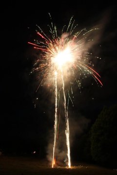t_IMG_5390.jpg